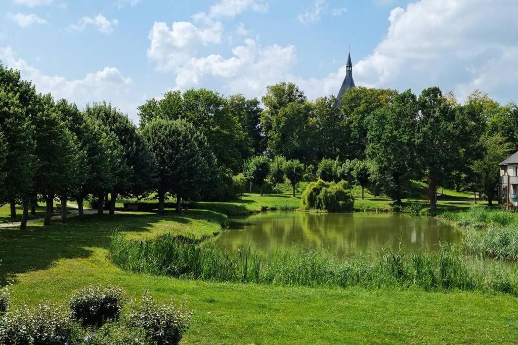 Maison Centre De Bellegarde Avec Jardin Et Terrasse Equipee D'Un Salon De Jardin Et D'Un Barbecue Cuisine Equipee 3 Chambres Avec 2 Lits Double 140X190 Et 2 Lits Simple Chauffage Poele A Granules Parking Gratuit Devant La Maison Bellegarde-du-Loiret Экстерьер фото